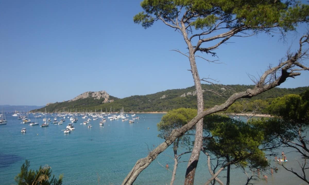 Camping La Presqu Le En Saint Mandrier Sur Mer Provence Alpes C Te D