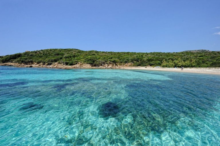 Camping U Libecciu in Olmeto, Corsica, France